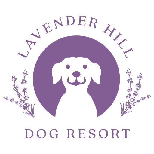 Lavender Hill Dog Resort