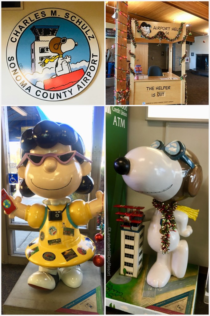 A collage of airport photos: Sonoma County Airport logo, Airport Help booth, Lucy sculpture and a Snoopy sculpture (both from Peanuts on Parade).