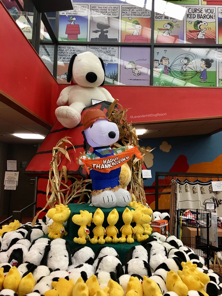 A tower of Snoopy and Woodstock stuffed animals inside the gift shop.