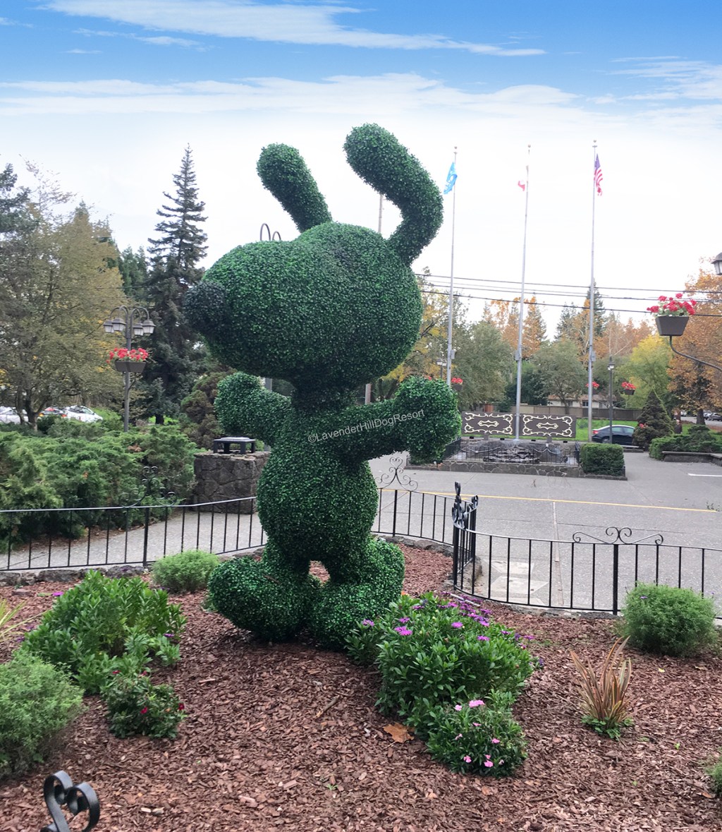 I live in Snoopy’s Home&nbsp;Town!