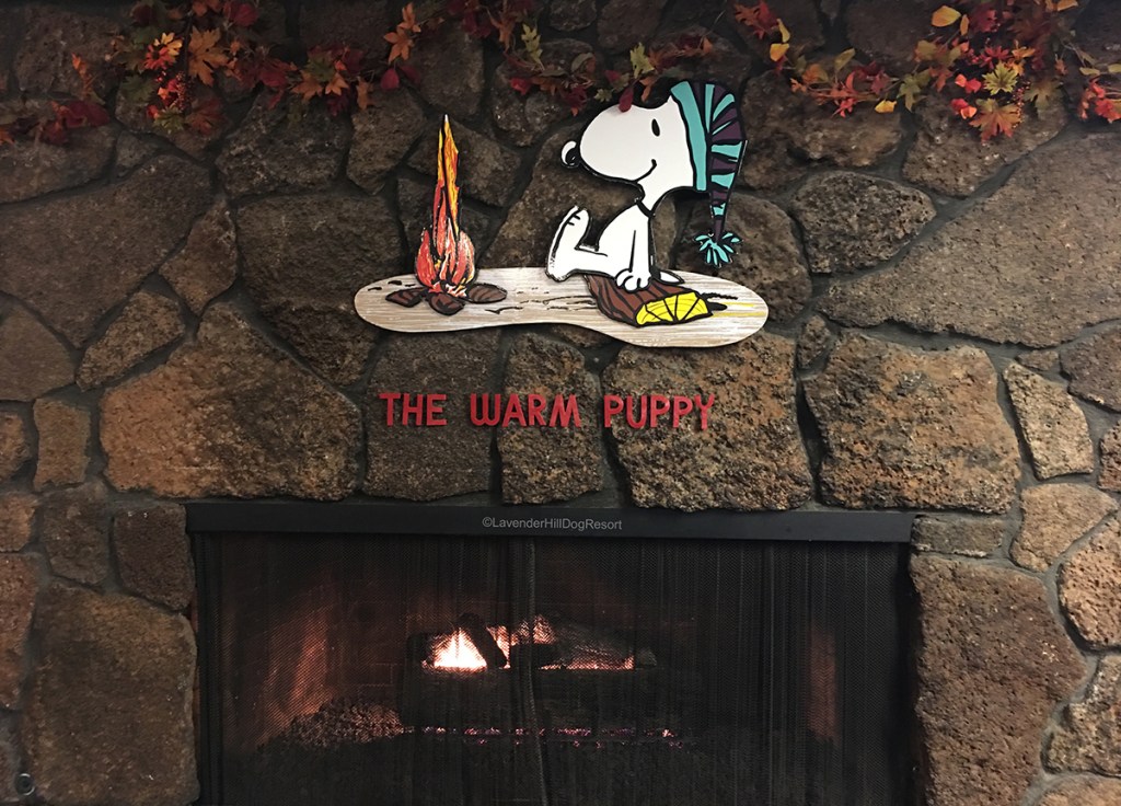 Warm Puppy Cafe sign mounted over a fireplace.